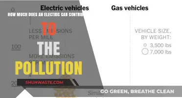Electric Cars: Pollution Reduction or Greenwashing?