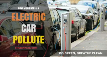 Electric Cars: Pollution and the Real Cost