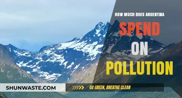 Argentina's Pollution Problem: Costing the Country Millions