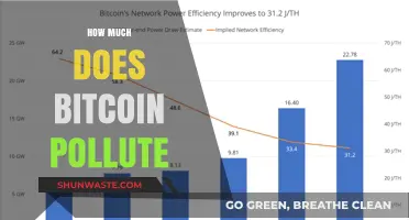 Bitcoin's Carbon Footprint: Environmental Impact and Solutions