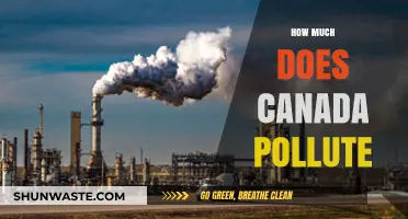 Canada's Environmental Impact: Unveiling the Pollution Truth