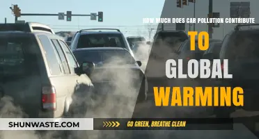Car Pollution: Global Warming's Unseen Culprit