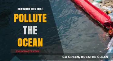 Chile's Ocean Pollution: Understanding the Impact and Causes