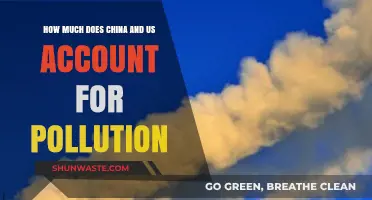 Pollution's Biggest Offenders: China vs. US
