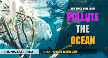 China's Ocean Pollution: The Devastating Impact and Solutions