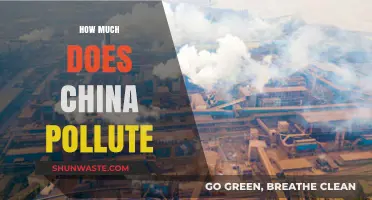 China's Pollution Problem: A Global Concern