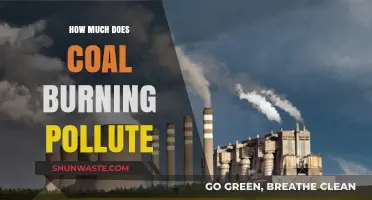 Coal Burning: The Toxic Cost of Energy