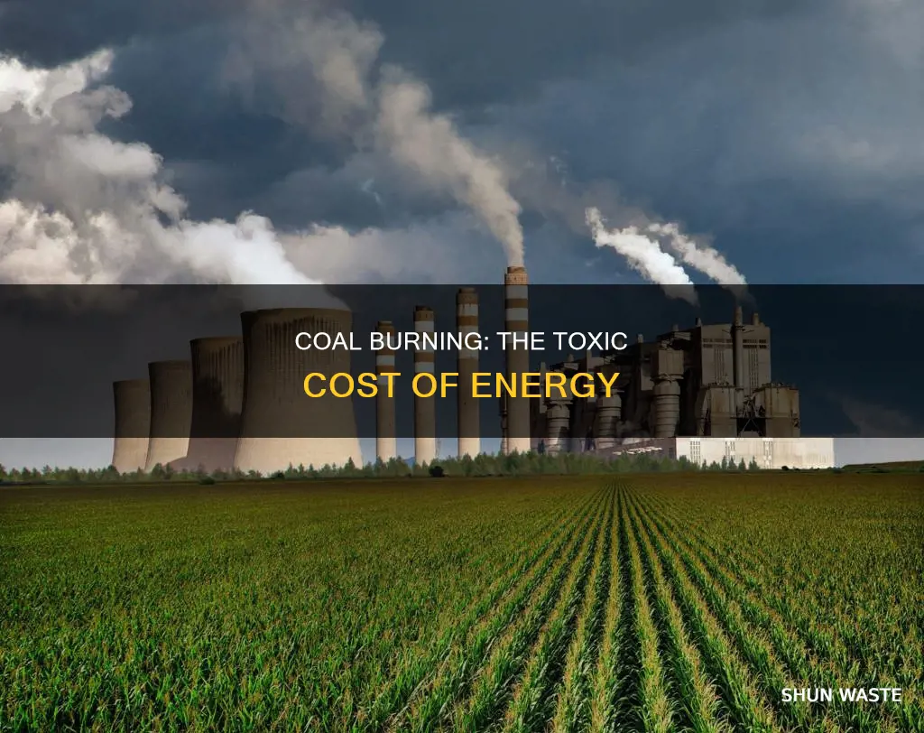 how much does coal burning pollute