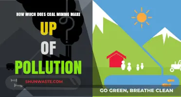 Coal Mining's Pollution Problem: How Much is Too Much?