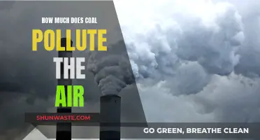 Coal's Air Pollution: A Hazardous Climate Change Legacy