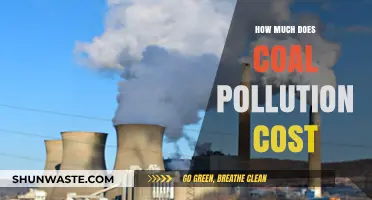 The True Cost of Coal Pollution