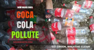 Coca-Cola's Pollution Problem: The Real Cost of Soft Drinks