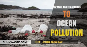 Coca-Cola's Ocean Pollution: The Real Cost of Coke