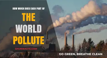 Global Pollution: Regions and Their Impact