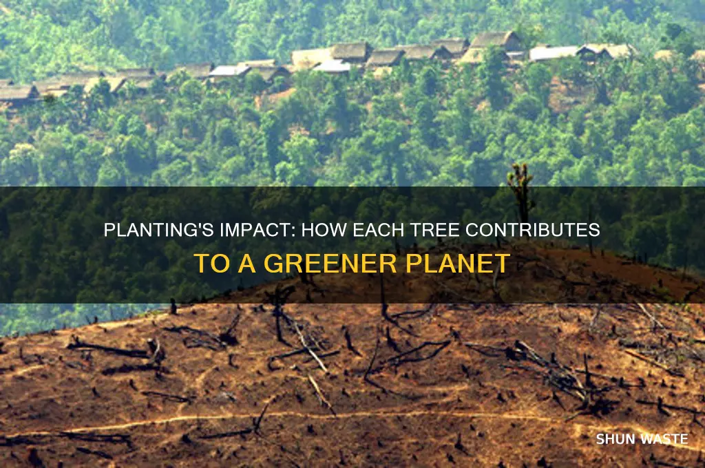 how much does each planting help the environment