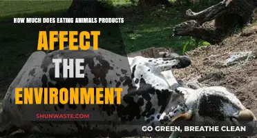 Environmental Impact of Animal Products: A Comprehensive Analysis
