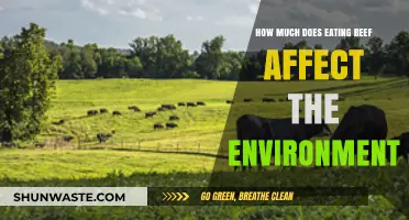 Beef's Environmental Impact: Uncovering the Hidden Costs of Consumption