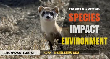 Endangered Species: Their Vital Role in Shaping Our Environment