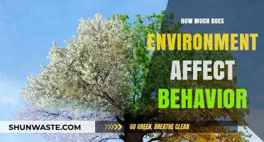 Environment's Impact: Shaping Behavior and Influencing Human Actions