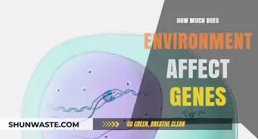 Environmental Impact on Genes: Unraveling Nature vs. Nurture Dynamics