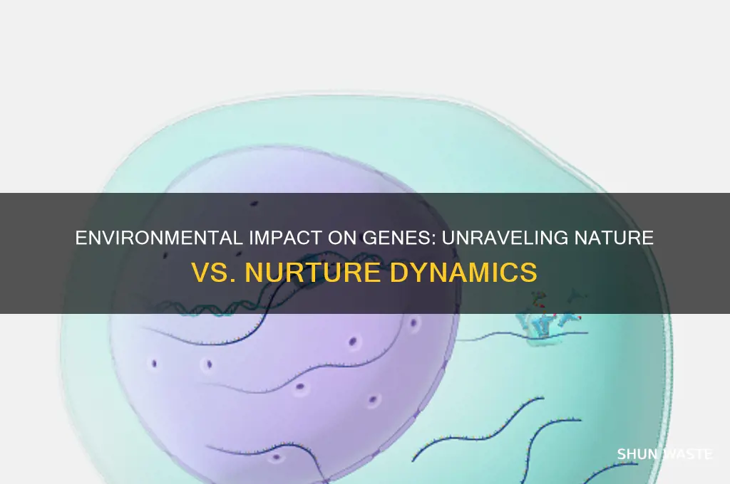 how much does environment affect genes