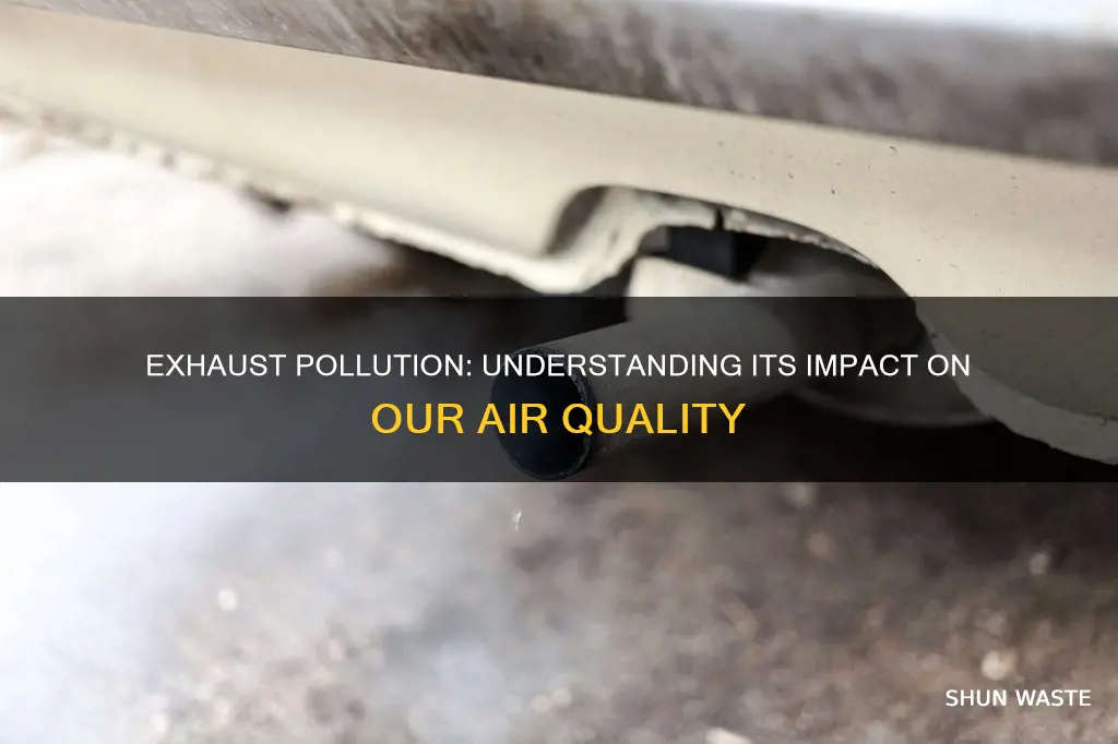 how much does exhaust pollute the air