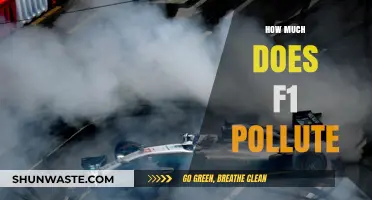 F1's Environmental Impact: A Costly Price for Racing?