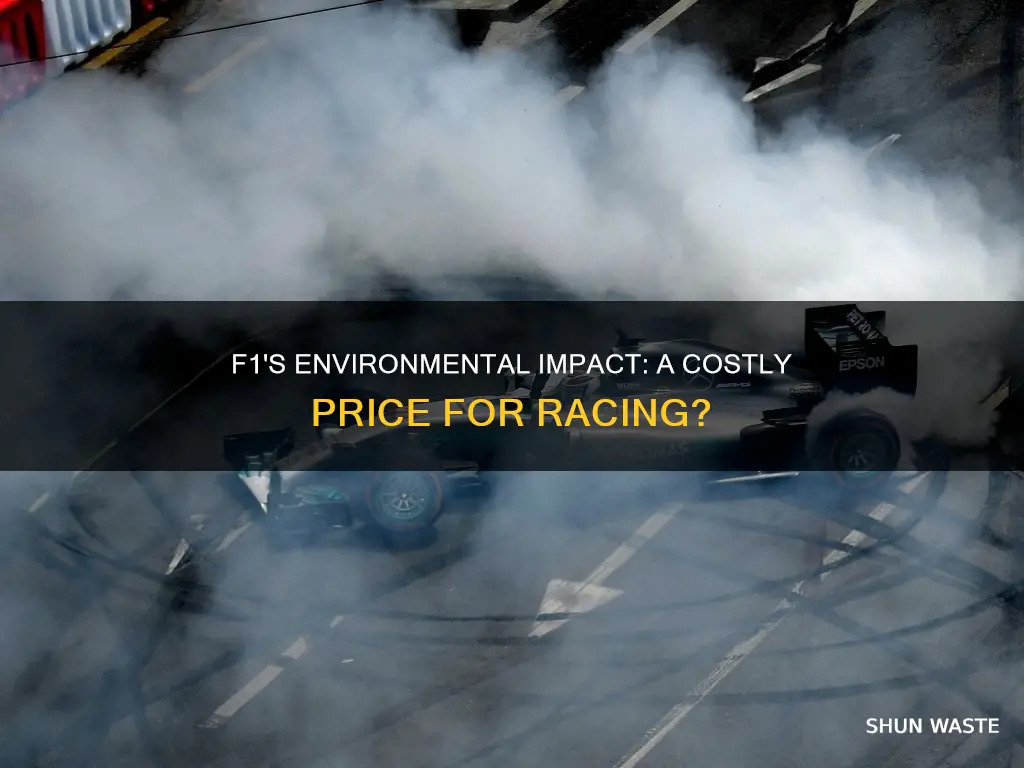 how much does f1 pollute