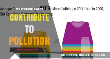Fashion's Pollution Footprint: A Costly Catwalk