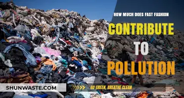 Fast Fashion's Pollution: The True Cost of Clothing