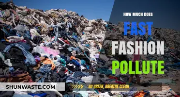 Fast Fashion's Dark Side: Environmental Impact Revealed