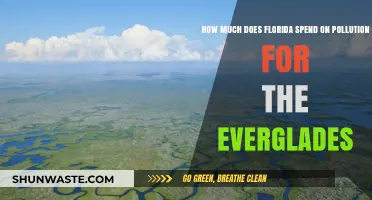 Everglades Pollution: Florida's Spending to Save the Ecosystem