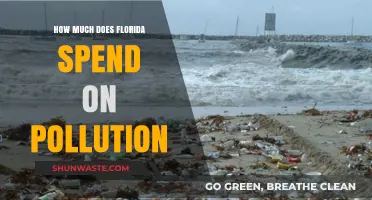 Florida's Pollution Problem: The Cost of Environmental Damage
