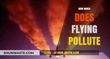 Air Travel's Environmental Impact: How Much Does Flying Pollute?
