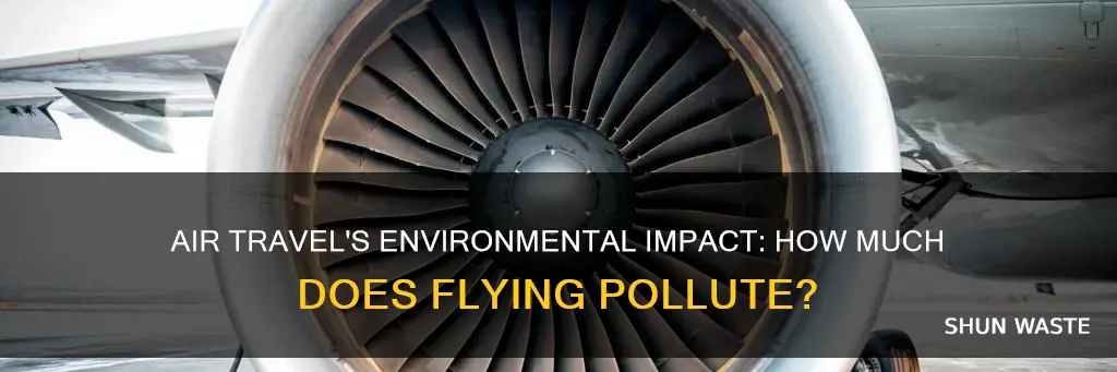how much does flying pollute