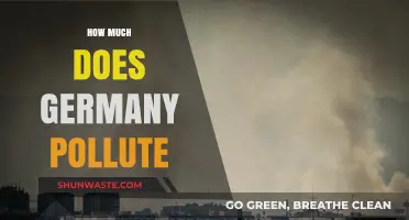 Germany's Pollution Problem: How Bad Is It?