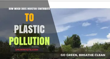 Houston's Plastic Pollution Problem: A Detailed Overview