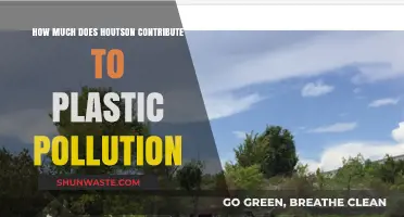 Houston's Plastic Pollution: A Troubling Contribution