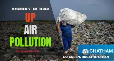 Air Pollution Cleanup: What's the Cost of Clean Air?