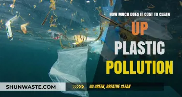 The True Cost of Cleaning Up Plastic Pollution