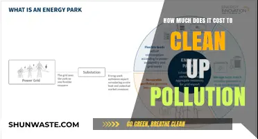 The True Cost of Cleaning Up Pollution