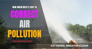 Correcting Air Pollution: What's the Financial Cost?