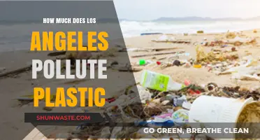 Plastic Pollution: LA's Dark Secret