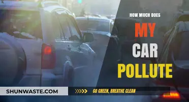 Car Emissions: How Polluted Is the Air We Breathe?