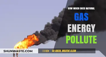 Natural Gas Energy: Pollution and Climate Impact