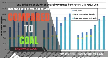 Natural Gas vs Coal: Which Pollutes More?
