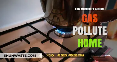Natural Gas: Home Pollution and Health Risks