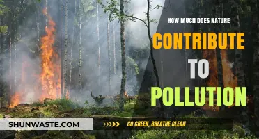 Nature's Pollution: What's the Real Cost?