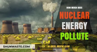 Nuclear Energy's Pollution: Friend or Foe?