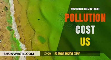 Nutrient Pollution: The Costly Impact on Our Planet